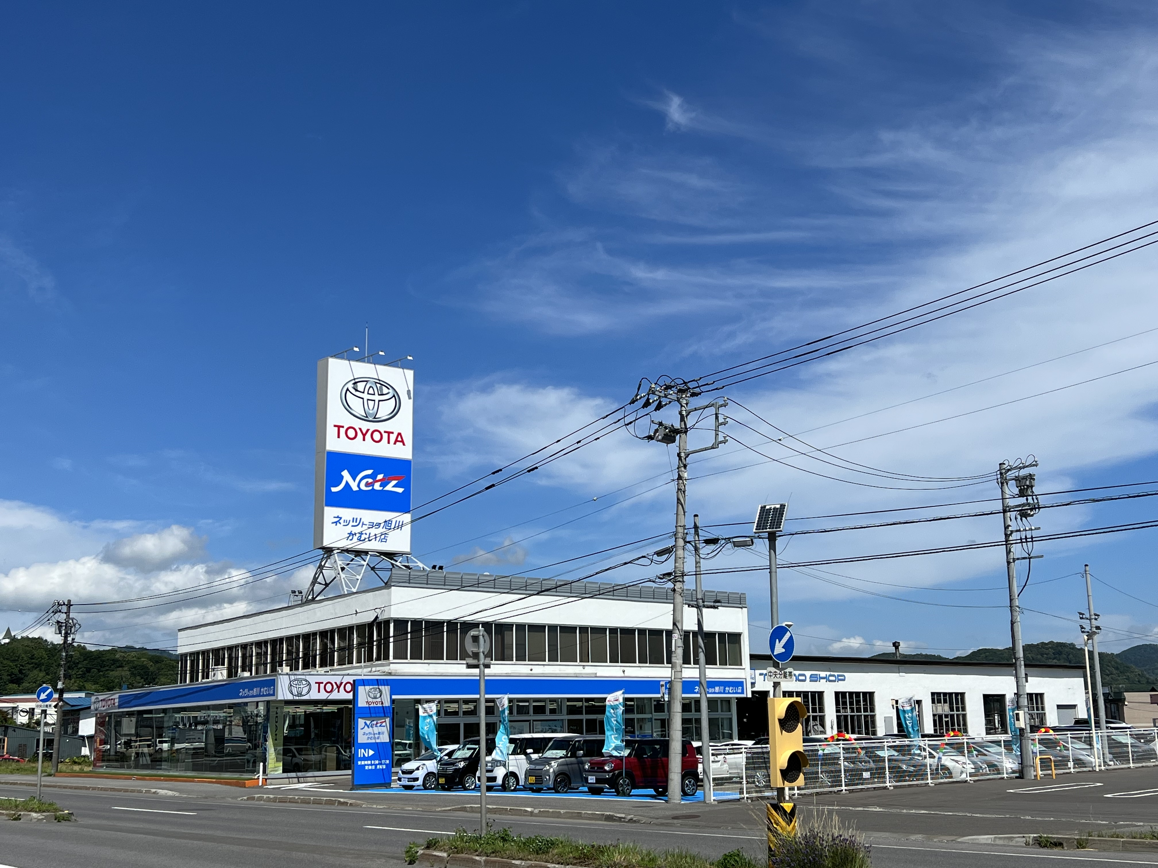 パタゴニア もの凄い アウトドア 61371 総柄 長袖 リバーシブル